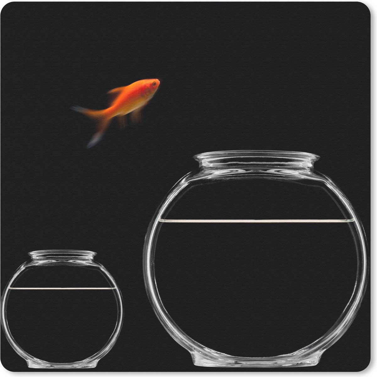 Muismat 30x30 cm - Mousepad Goudvis - Vissenkom - Zwart - Muismatten