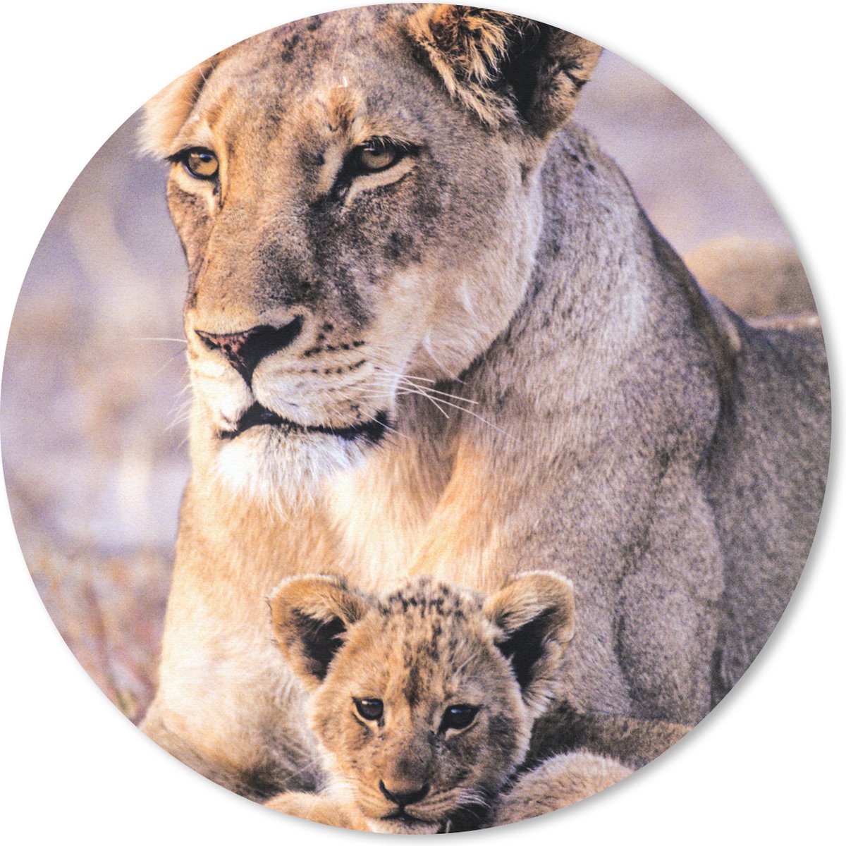 Muismat rond 20x20 cm - Mousepad Leeuwin - Leeuw - Welp - Ronde muismatten