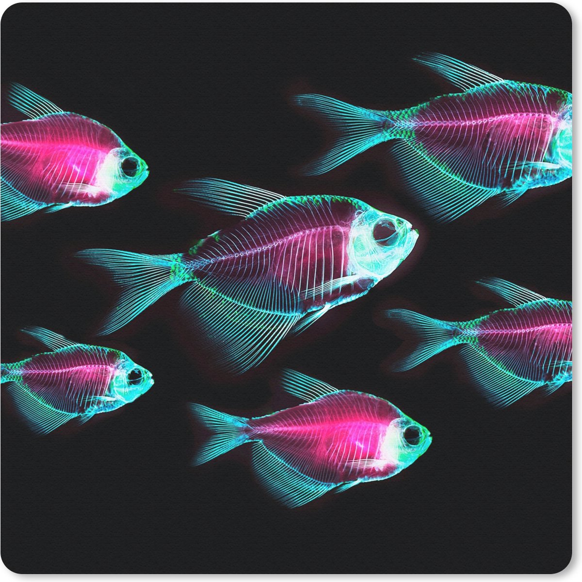 Muismat 30x30 cm - Mousepad Vis - Paars - Blauw - Muismatten