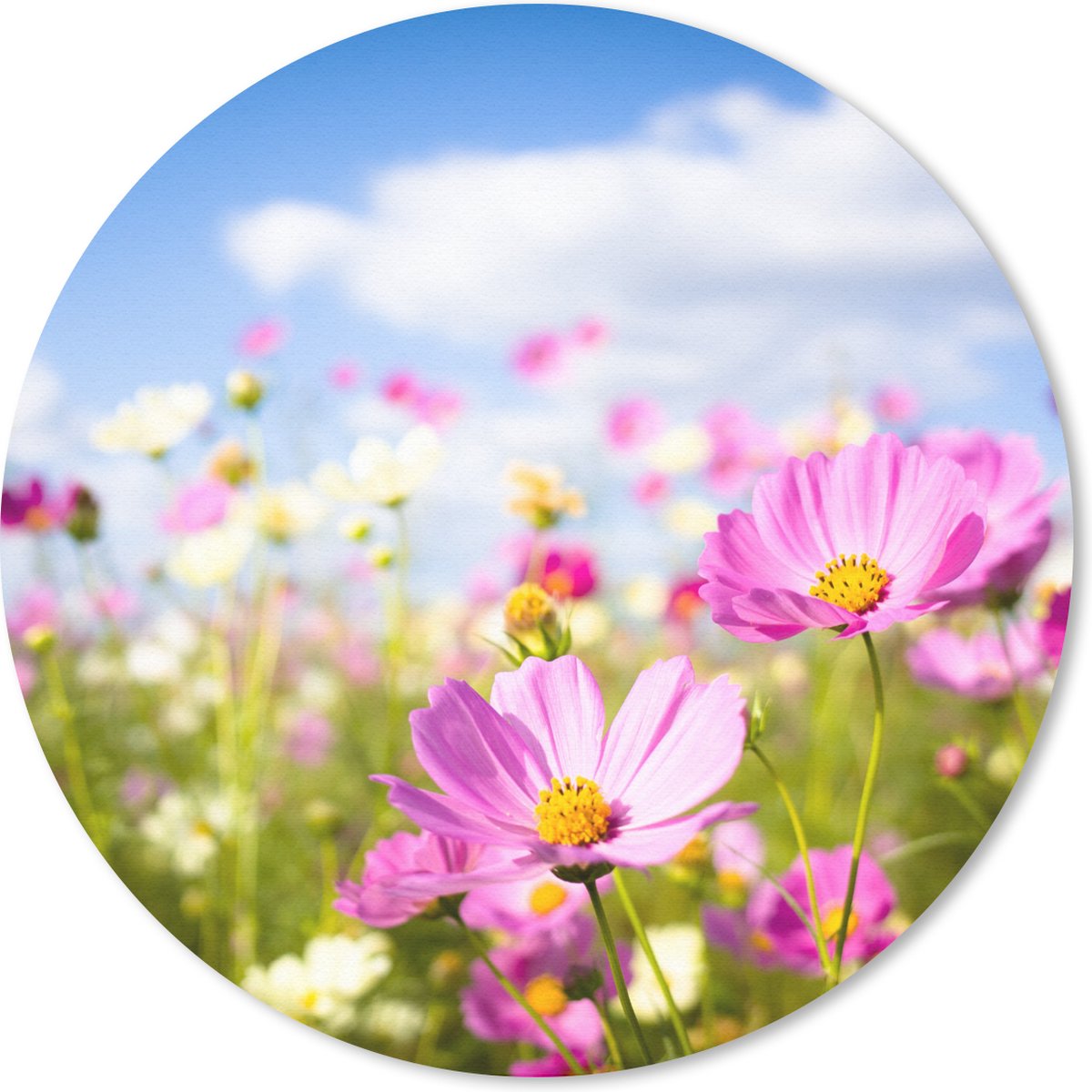 Muismat rond 20x20 cm - Mousepad Bloemen - Wei - Paars - Gras - Wit - Wolken - Blauw - Ronde muismatten
