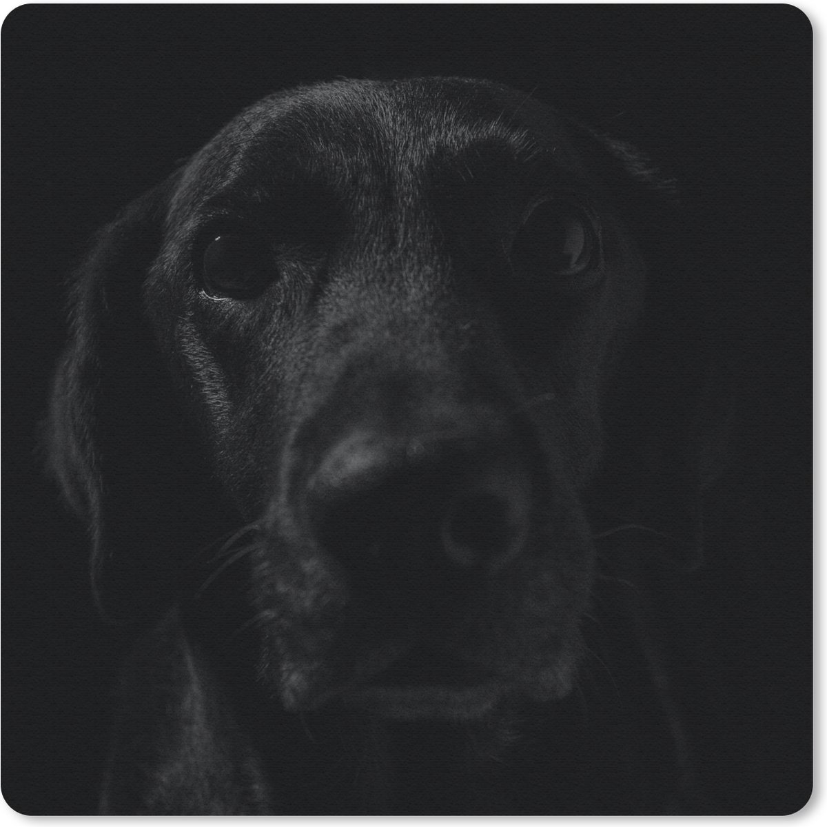 Muismat 20x20 cm - Mousepad Hond - Huisdier - Zwart - Muismatten