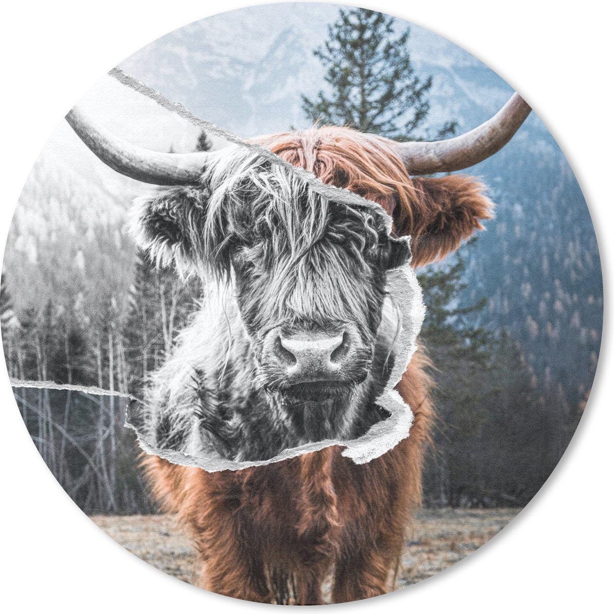 Muismat rond 40x40 cm - Mousepad Dieren - Schotse Hooglander - Stier - Ronde muismatten