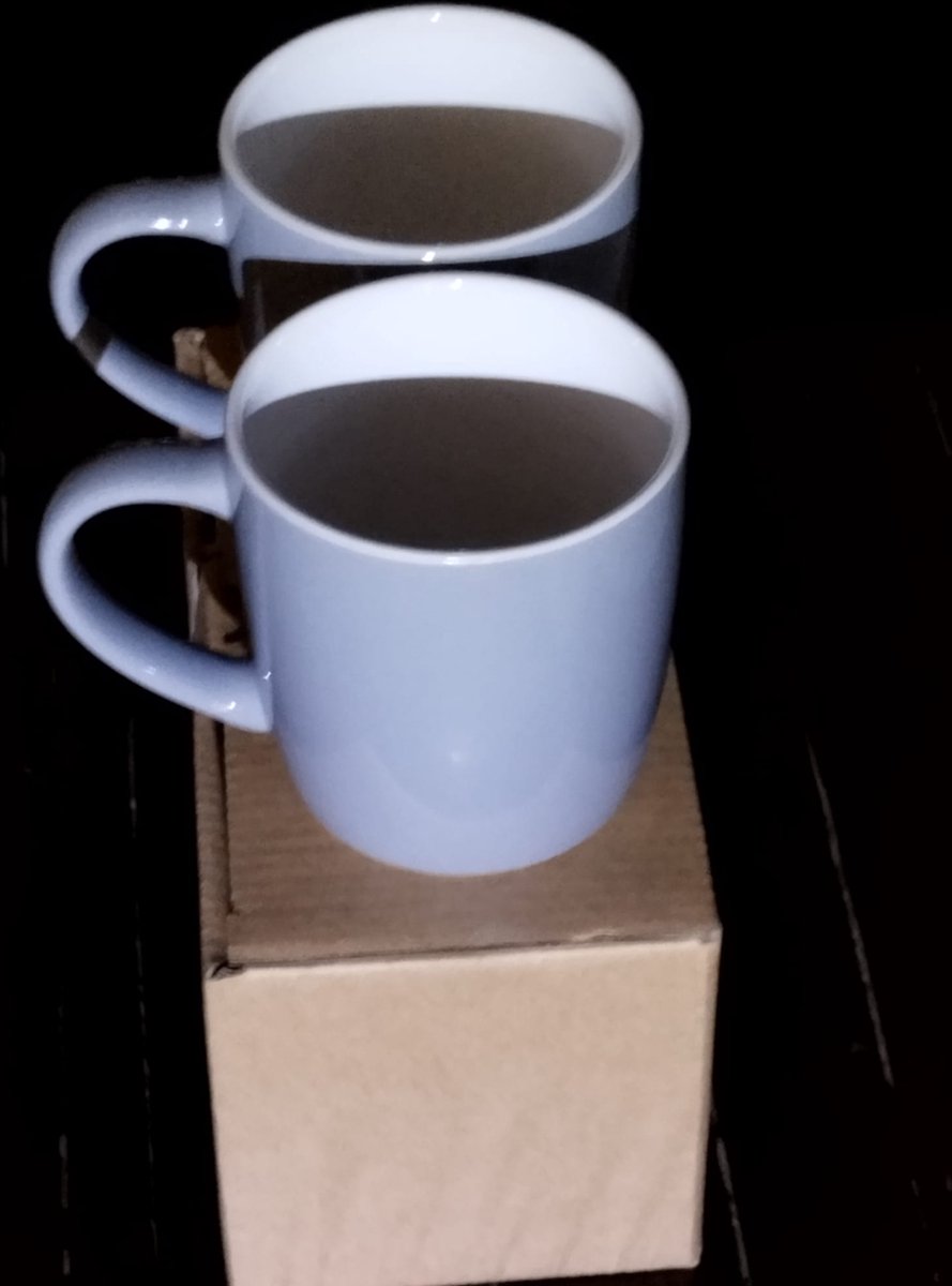 Argon - Set van 2 Koffie/theetassen Grijs/wit - 350 ml - hoge volumekorting