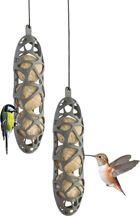 Grijze voederkokers met koolmeesje en kolibrie.