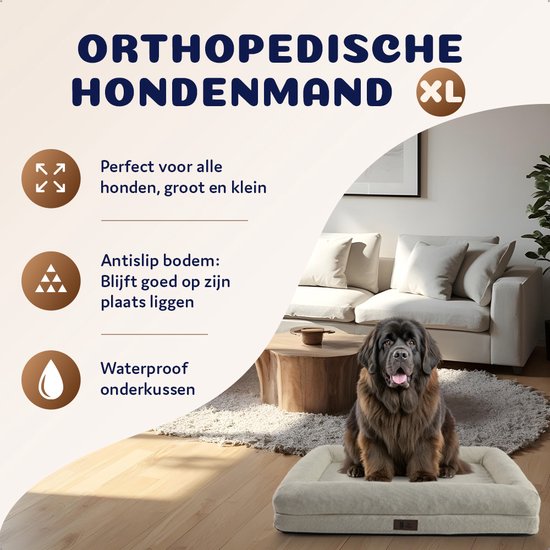 Terre-neuve sur un canapé pour chien XL de couleur crème dans un salon. Texte "ORTHOPEDISCHE HONDENMAND XL".