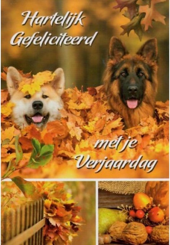Hartelijk gefeliciteerd met je verjaardag! Een vrolijke kaart met lieve honden die tussen de bladeren zitten. Een leuke kaart om zo te geven of om bij een cadeau te voegen. Een dubbele wenskaart inclusief envelop en in folie verpakt.