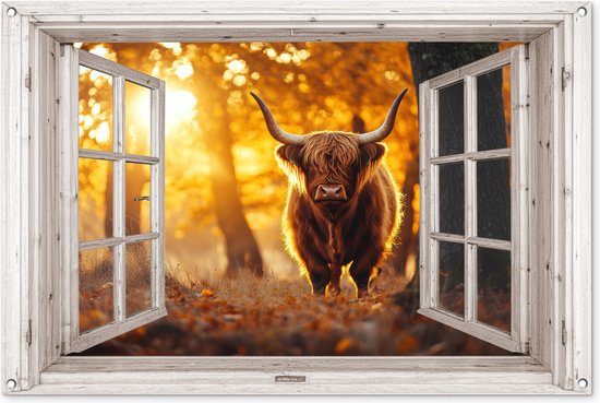 Een schotse hooglander in een bos met herfstbladeren, weergegeven als een open raam met wit houten kozijn op witte achtergrond.