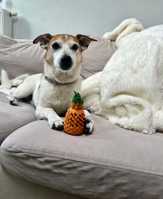 ChewBrush, kauwspeelgoed en tandenborstel in één – Groot – 25 CM