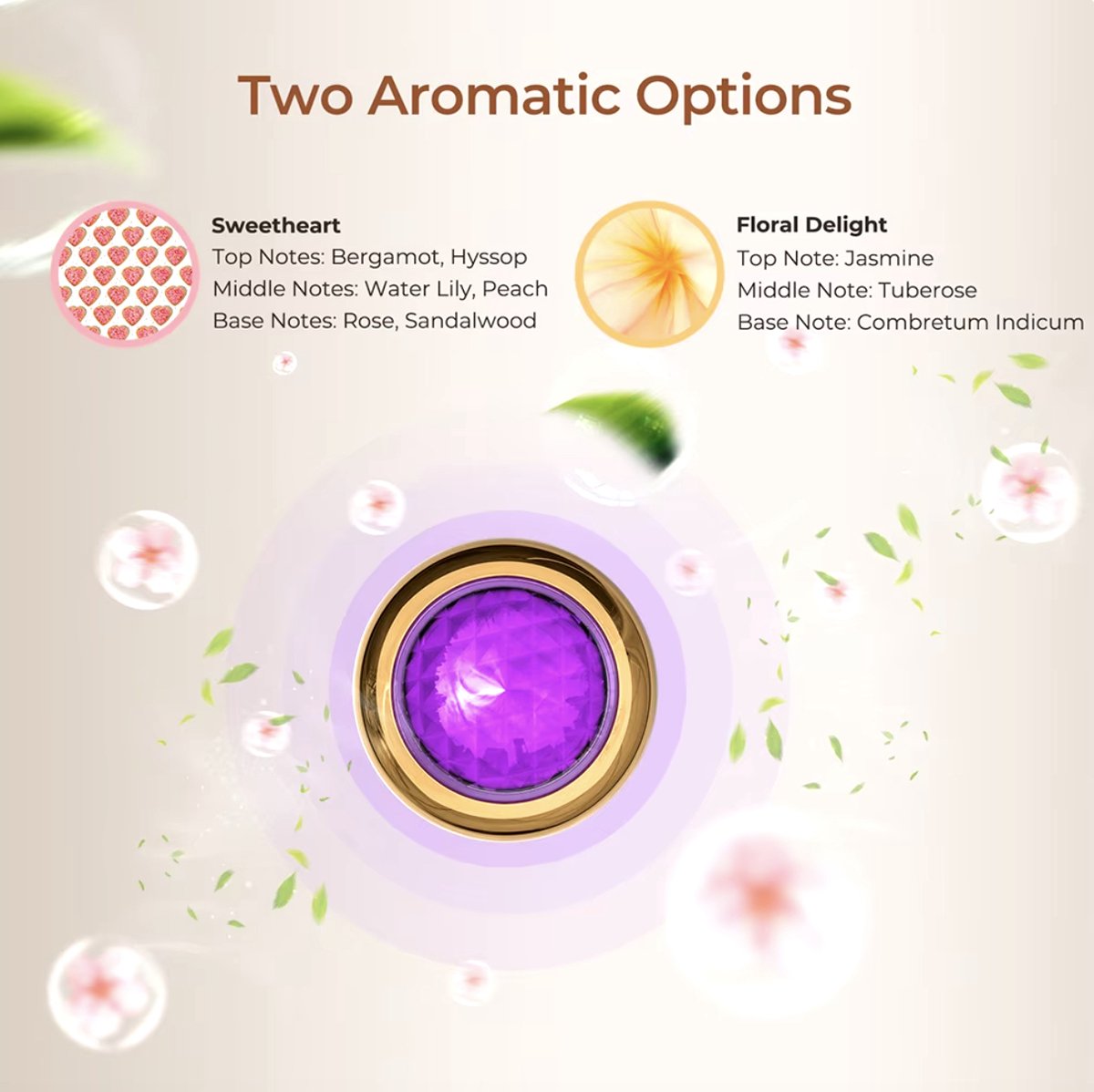 J&R Antimijt Stofzuiger met UV Licht en Ultrasone Technologie - afbeelding 3