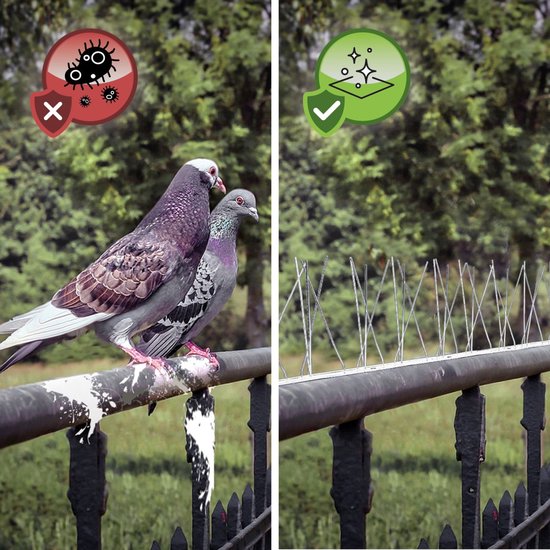 Épingles à pigeons - Acier 300 cm - Pointes anti-pigeons - Épingles à mouettes anti-oiseaux