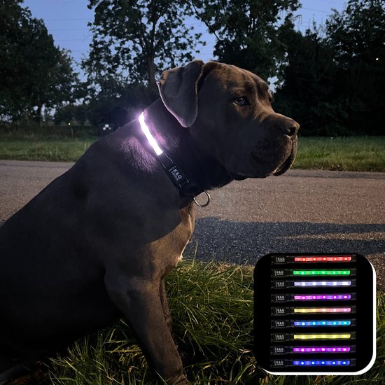 Foto: K g lichtgevende halsband hond 9 kleuropties ipx7 waterproof led inclusief oplaadkabel en apple airtag houder maat l zwart