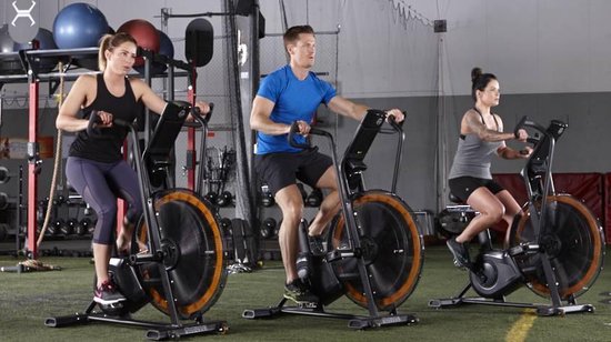 Octane Airdyne Adx Discount, 60% OFF 