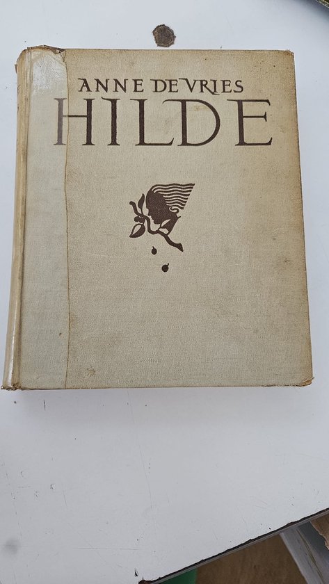Hilde van Anne de Vries - cover