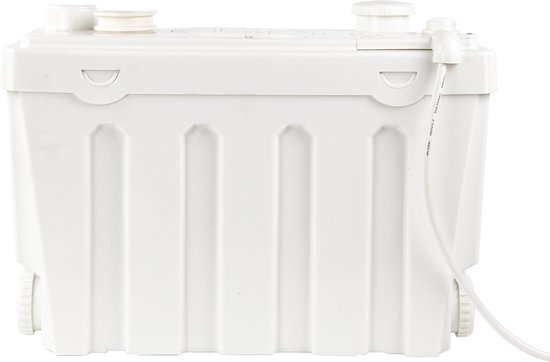 Zijaanzicht van de witte Kibani fecaliënvermaler met verticale ribbels.