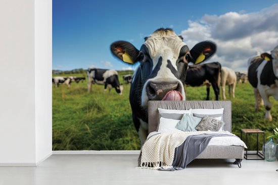 Behang - Fotobehang Koe - Tong - Weide - Breedte 330 cm x hoogte 220 cm