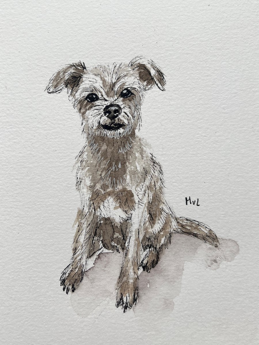 huisdierportret op maat, A6