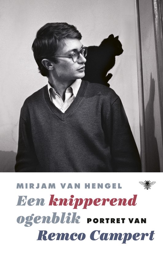 Een knipperend ogenblik - cover