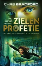 Boekcover: Ogen van een man, meisje dat valt, stad en tekst "Zielenprofetie".