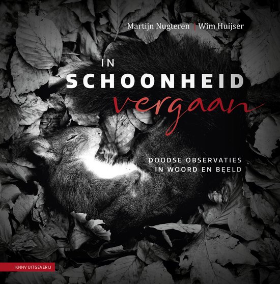 In schoonheid vergaan - cover