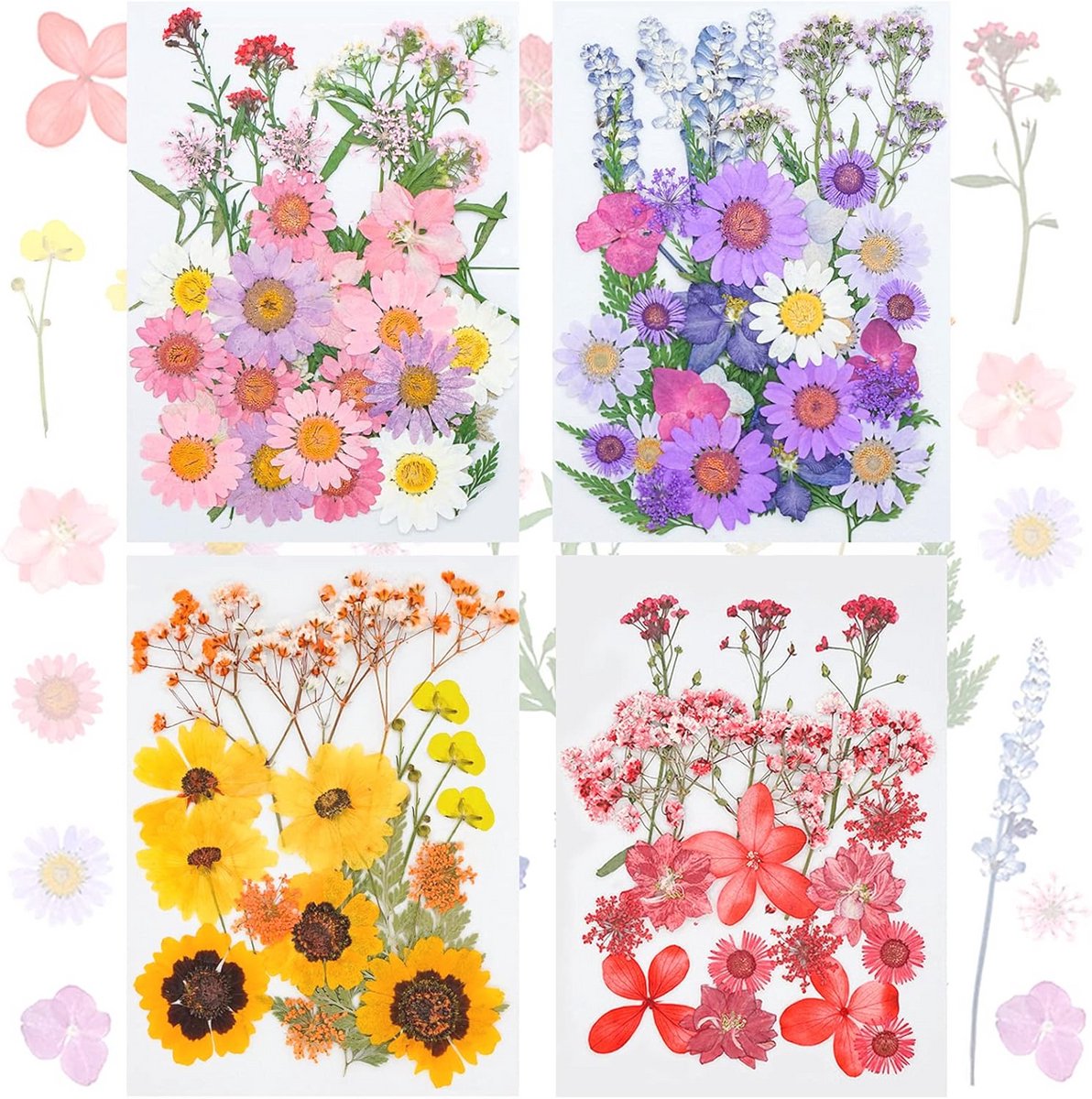 Natuurlijke gedroogde bloemenmix - 111 stuks voor knutselen en decoratie