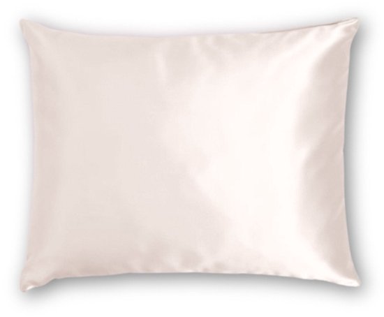 Adubor Moerbeizijde kussensloop voor haar en huid met verborgen rits, beide zijden, 23 momme zijde, draadtelling 600 (20 x 26 inch, standaardmaat, zilvergrijs, 1 stuk