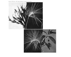 Andrew Pekler - New Environments & Rhythm Studies (LP)