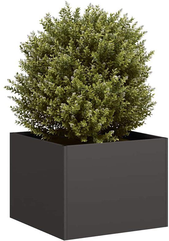 vidaXL Plantenbak 100x100x30 cm staal zwart, plantenbak, plantenstandaard, verhoogd bed, plantenbakstandaard, plantenbak, tuinplantenbak