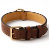 Bruine leren hondenhalsband met goudkleurige gesp en D-ring, met gele stiksels.