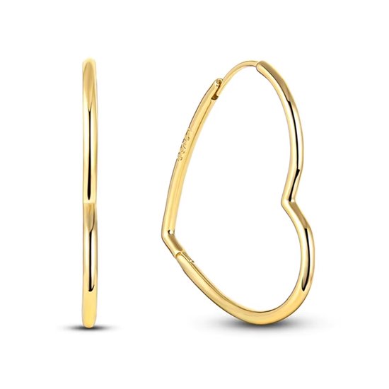 Oorbellen meisje - tiener - liefde - love - hartje - gold plated