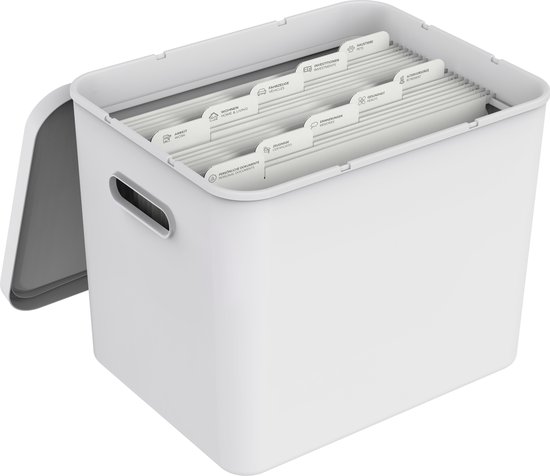 Rotho John Grand présentoir de fête, en plastique (PP) sans BPA, bleu/transparent, 47,5 x 39,0 x 9,8 cm