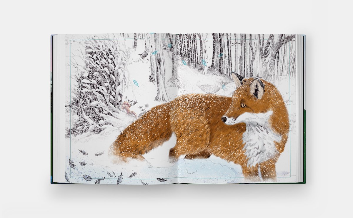 The Tomorrow Tree - back cover