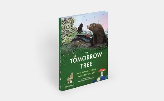 The Tomorrow Tree