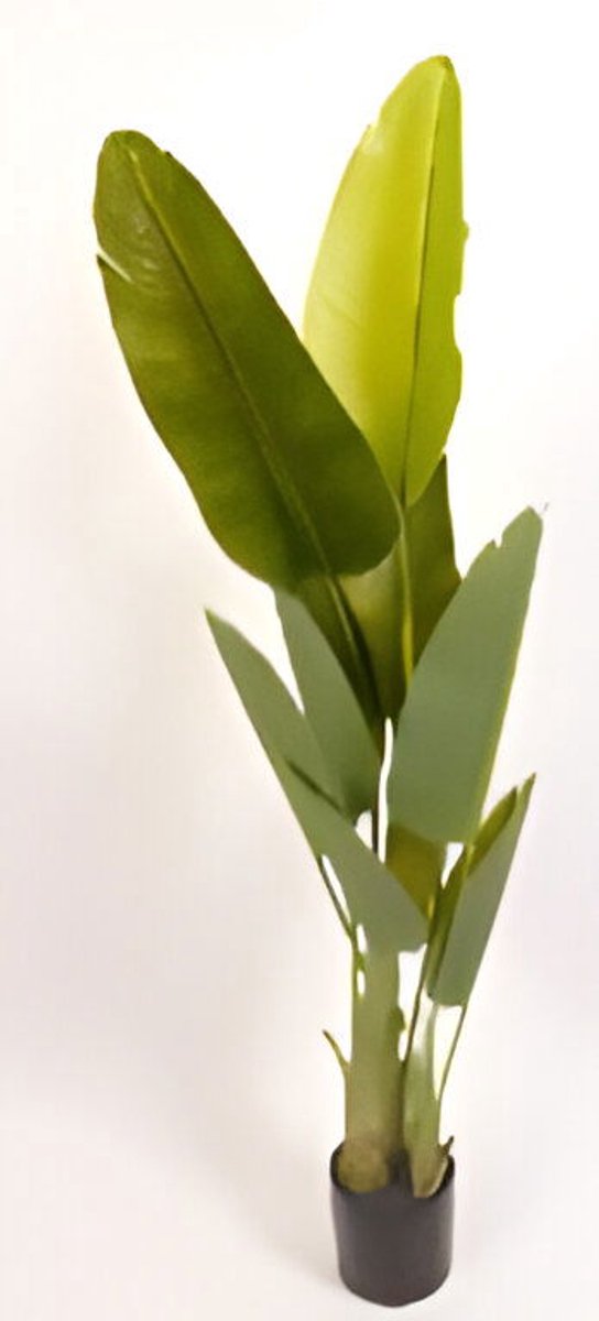 Oosterik home - Trave palm 220 cm kunstplant Oosterik Home
