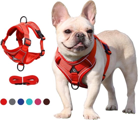 Puppia Ritefit - Hondentuig kleine hond en medium hondentuig