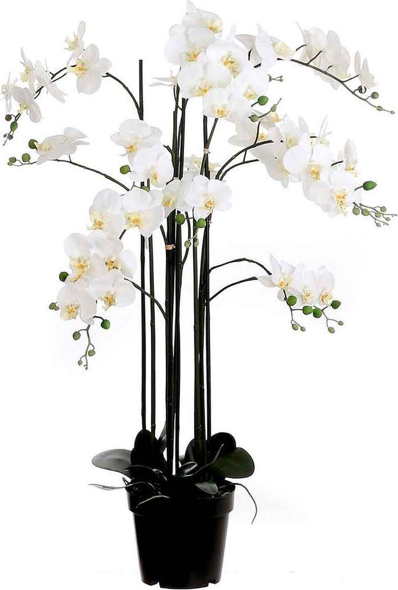 Mica Decorations Kunstplant Orchidee Phalaenopsis Crème - Wit - H 117cm - Kunststof sierpot - Mica Decorations