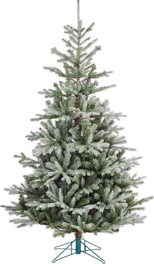 Black Box celtis kerstboom groen frosted tips 2211 maat in cm: 260 x 145 -  GROEN | bol.com