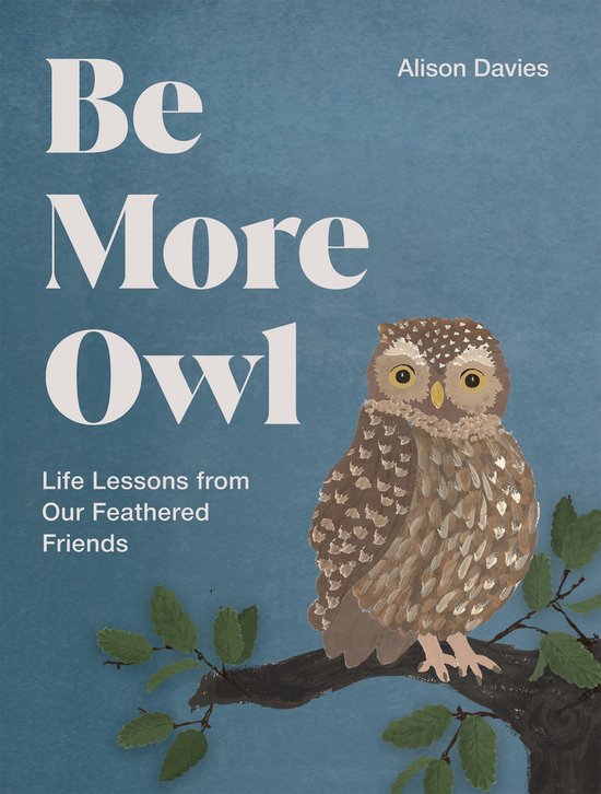 Be More...- Be More Owl - cover