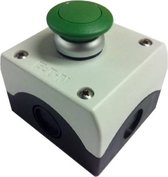 Aeton Interrupteur à bouton-poussoir monté en surface vert champignon