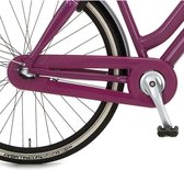 Cortina Cort kett kast Xcero deep orchid
