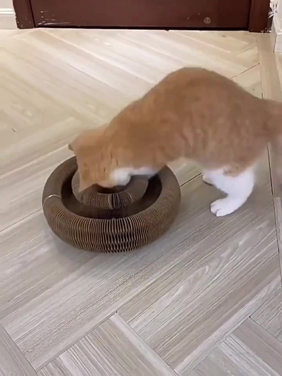 Interactief kattenspeelgoed, houten speelgoed, molmuis, puzzeldoos met schattig cartoonspeelgoed voor kat, jacht, spel, oefening, krabben - 5 gaten, een | BE