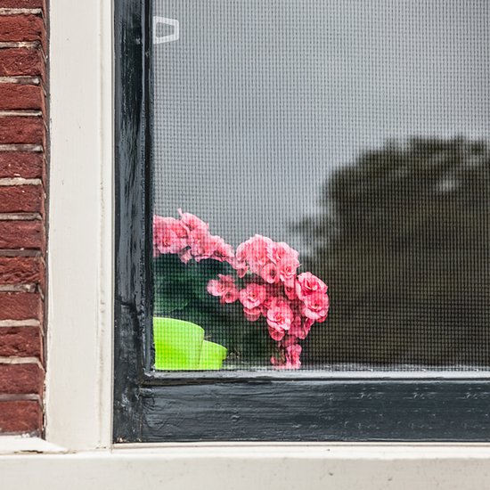 Roze bloemen in een groene pot achter een horraam van een bakstenen huis.