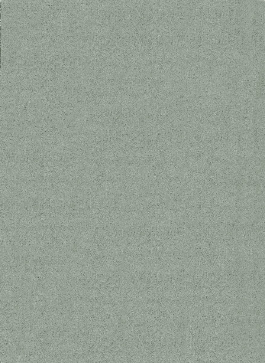 the carpet Comfy Vloerkleed – Zacht bonttapijt, 100% polyester, wasbaar, geschikt voor vlo