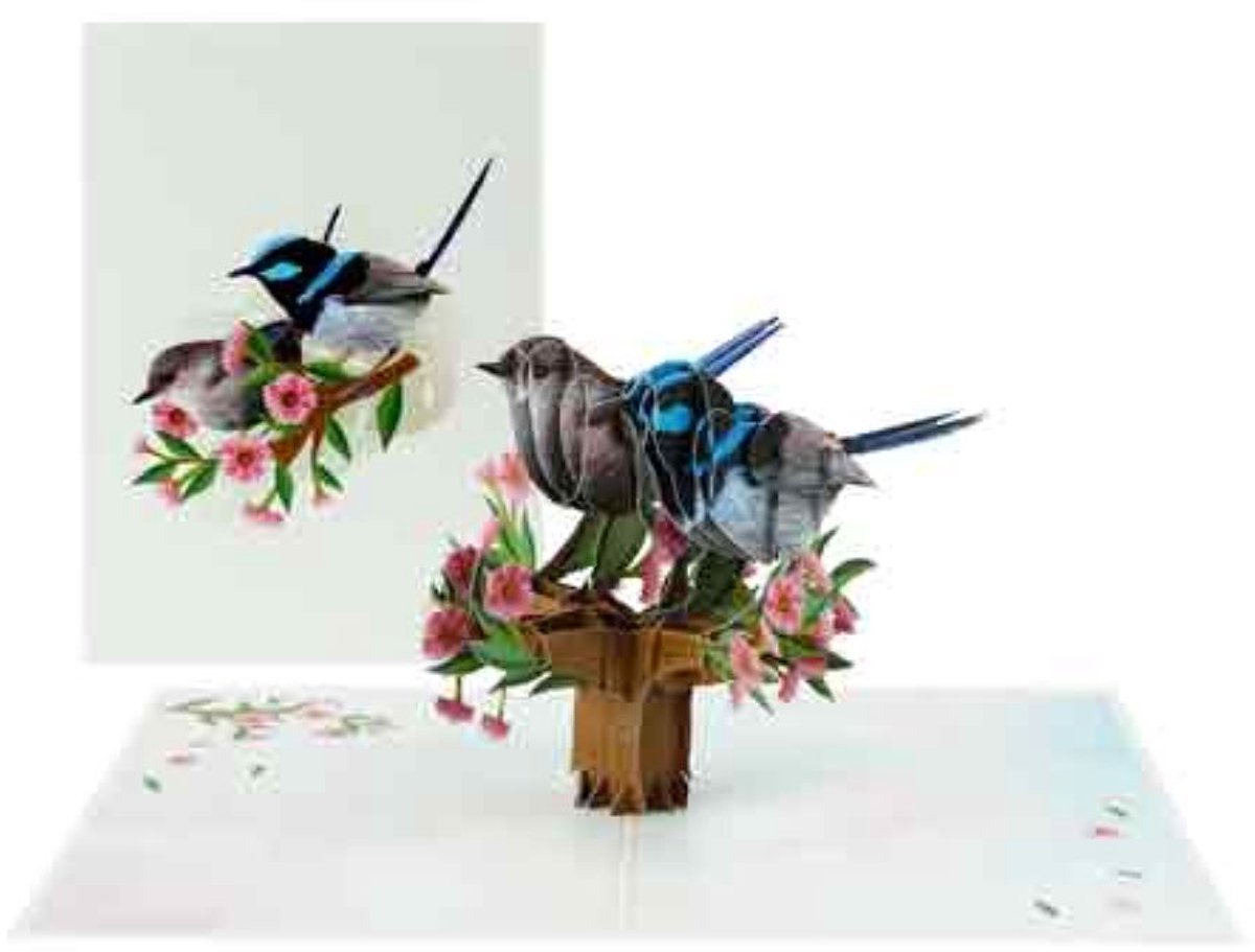 Pop up wenskaart - pop out wenskaart - felicitatie - pensioen - stoppen met werken - verjaardag - vogels - liefde - moederdag - vaderdag - wenskaart - natuur - sterkte - condoleance