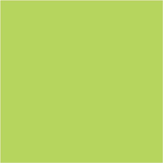 Fixo Paper 00001493 – Paquete de cartulinas de colores A4 – Surtido de