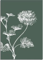 DesignClaud Vintage bloem blad poster - Groen - Puur Natuur Botanische poster A3 + Fotolijst wit