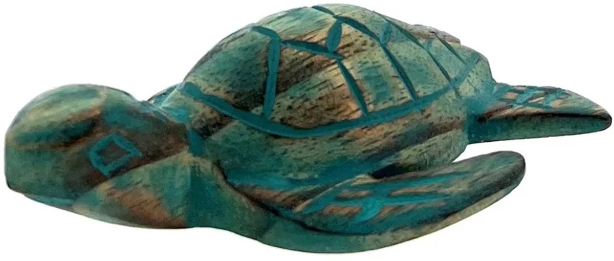 Houten schildpad Boras turquoise groot M