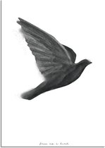DesignClaud Vogel poster - Waterverf stijl - Interieur poster - Zwart wit poster - Free as a bird A4 + Fotolijst zwart