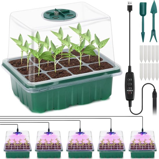 YAUNGEL Mini Serre pour Plantes avec Lampe, 4 Pièces Serre Semis de