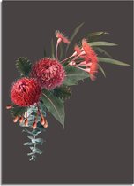 DesignClaud Wilde Australische bloemen poster - Bloemstillevens - Rood groen A4 + Fotolijst wit