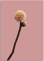 DesignClaud Tak met knop bloem poster - Roze A4 + Fotolijst wit